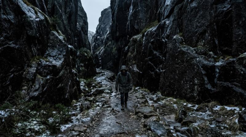 A scene under the cold dark shadow, deep contrast, sparse surroundings, moody tones, mysterious and quiet atmosphere, ultra-realistic, no logos.